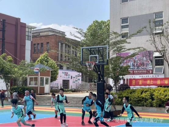 哪里可以找到关于篮球心理训练的资源_0